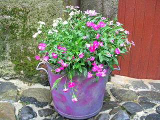 Cantal048