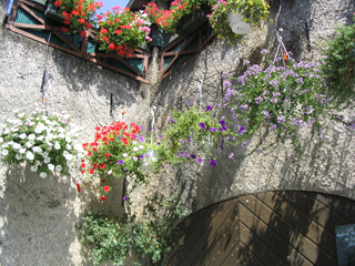Cantal069