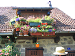 Cliquez ici pour voir l'image (Cantal017.JPG)