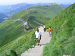 Cliquez ici pour voir l'image (Cantal066.JPG)