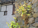 Cliquez ici pour voir l'image (Cantal088.JPG)