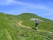 Cliquez ici pour voir l'image (Cantal121.JPG)