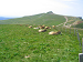 Cliquez ici pour voir l'image (Cantal127.JPG)