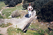 Cliquez ici pour voir l'image (006-a filitosa.jpg)