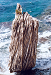 Cliquez ici pour voir l'image (044-rocher megalite bonifaccio.jpg)