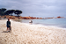 Cliquez ici pour voir l'image (057-velo palombaggia.jpg)