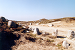Cliquez ici pour voir l'image (086-desert coscionne.jpg)