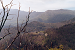 Cliquez ici pour voir l'image (094-Village perdu dans la castaniggia.jpg)