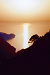 Corse