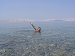 Cliquez ici pour voir l'image (D-Starigrad01.JPG)