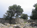 Cliquez ici pour voir l'image (K-Pag-Village06.JPG)