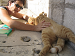 Cliquez ici pour voir l'image (X-Dubrovnic48.JPG)