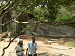 Cliquez ici pour voir l'image (SLK0019.JPG)